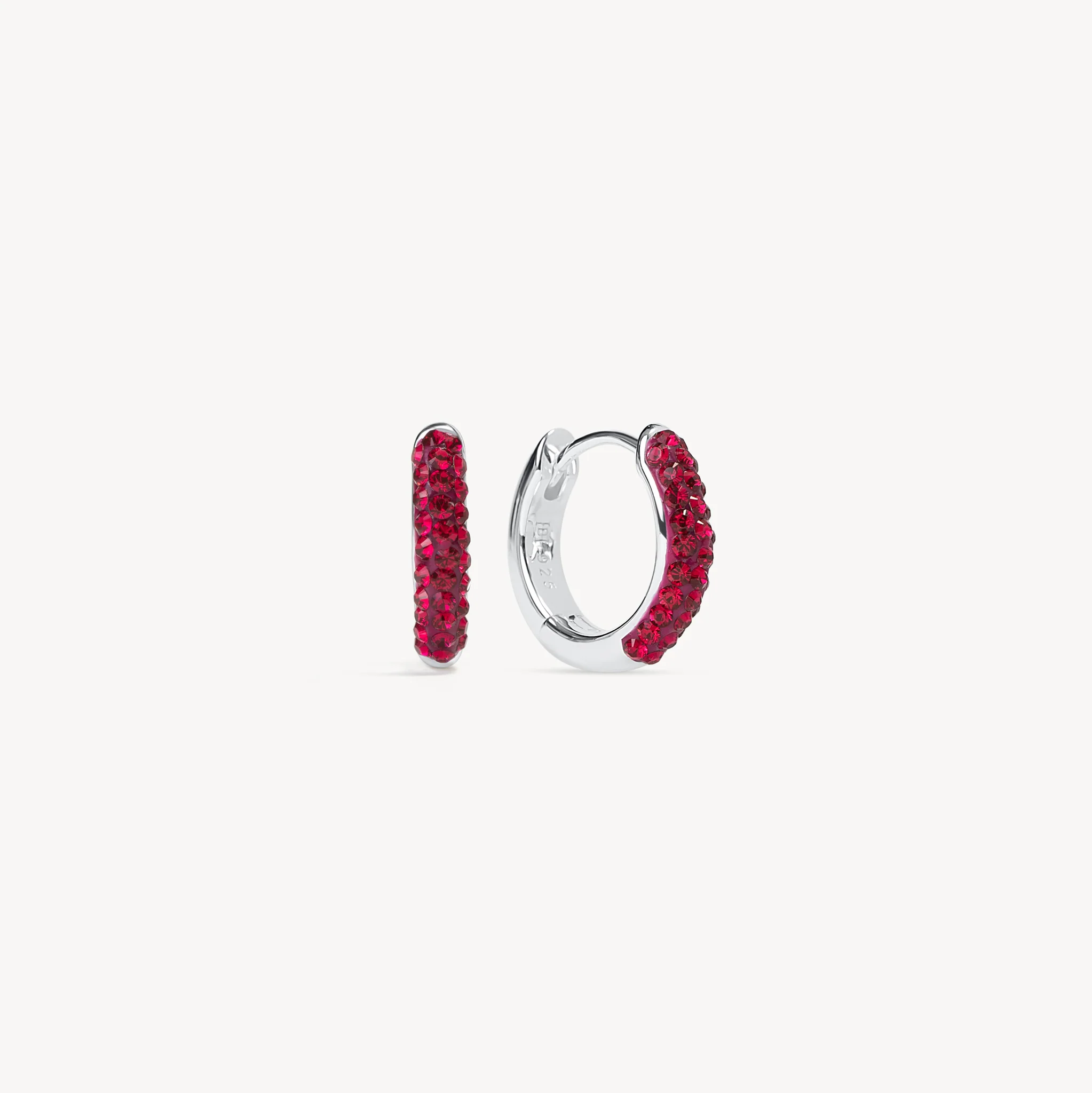 Birthstone Always On Sparkle Hoop Earrings - Image 13