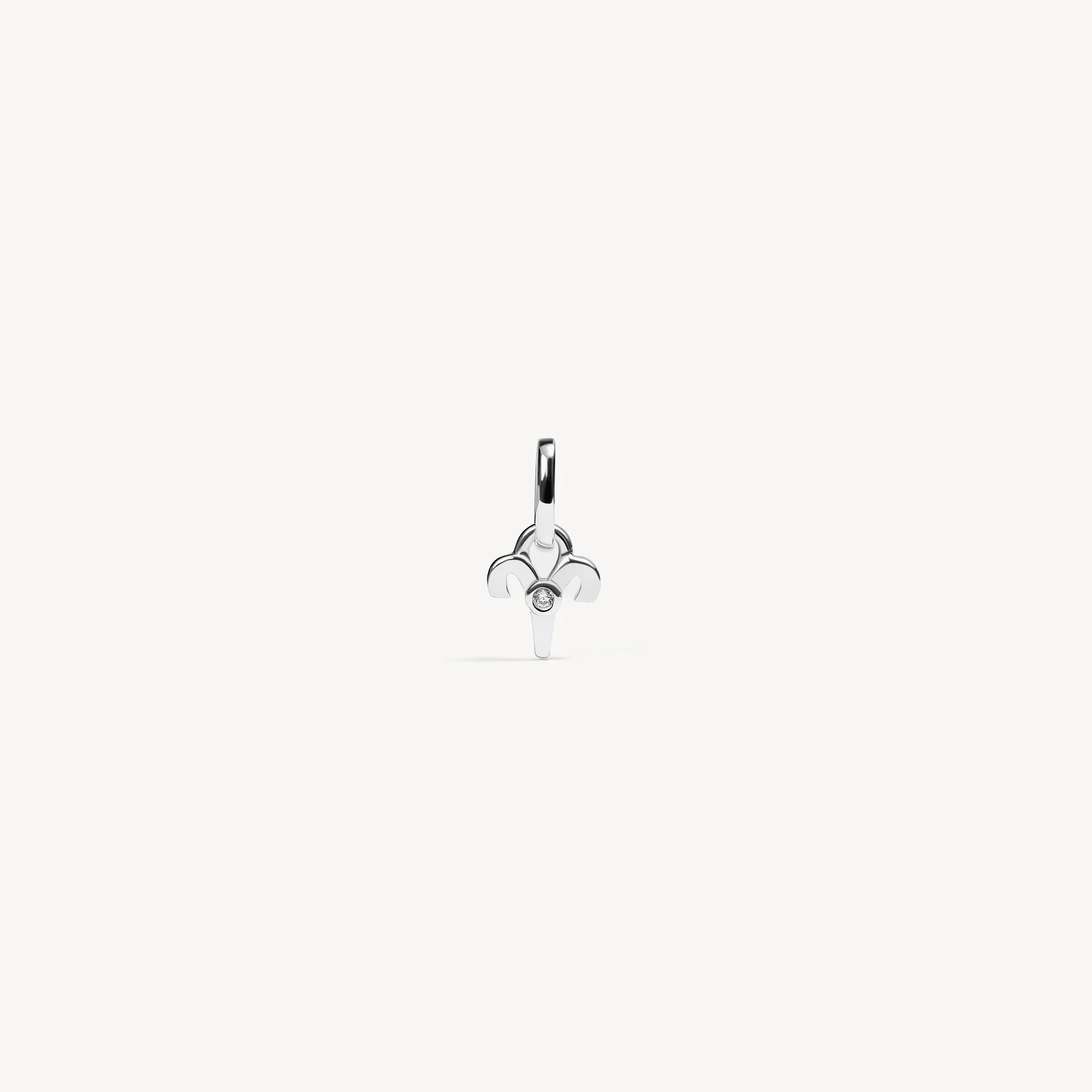 Zodiac Charm - Image 15